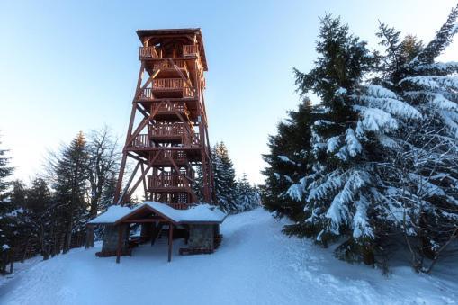 Dusznickie Domki Caloroczne Duszniki Zdrój Exterior foto
